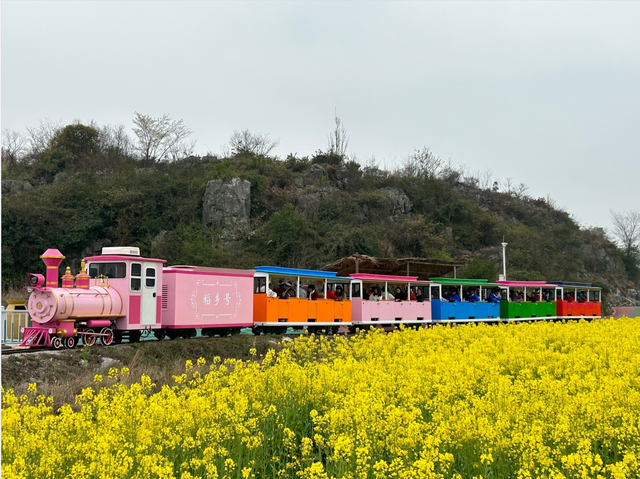 如何借助观光小火车打造景区特色旅游交通设施？
