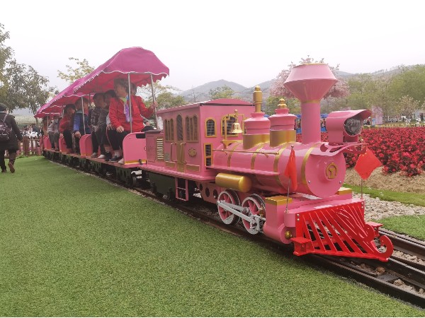CHC-10 粉色骑跨网红轨道观光小火车