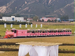 CHC-72人 樱花粉轨道观光小火车